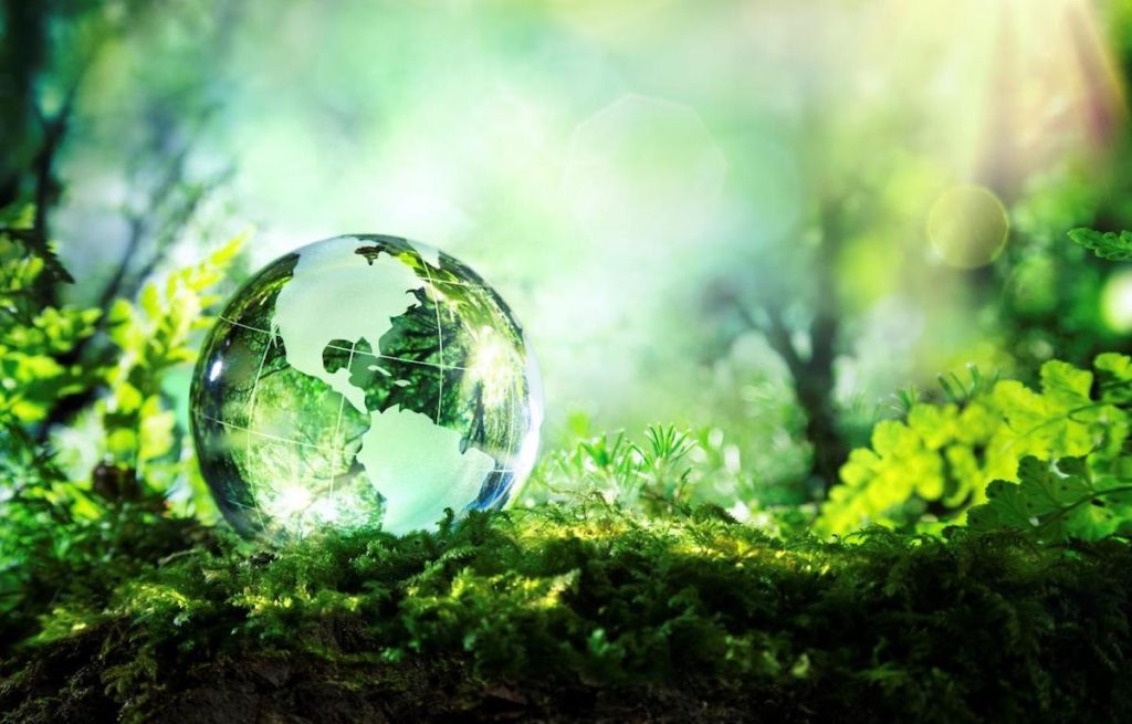 «Make the switch»: la scelta di Epson per l’ambiente e l’efficienza epson