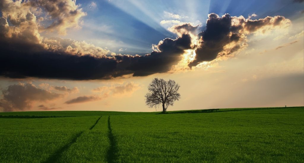 Epson e l’ambiente: una visione a lungo termine Epson