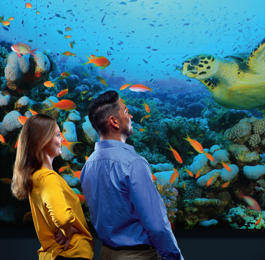 La rivoluzione delle pareti-video è iniziata. Scopri Barco Unisee