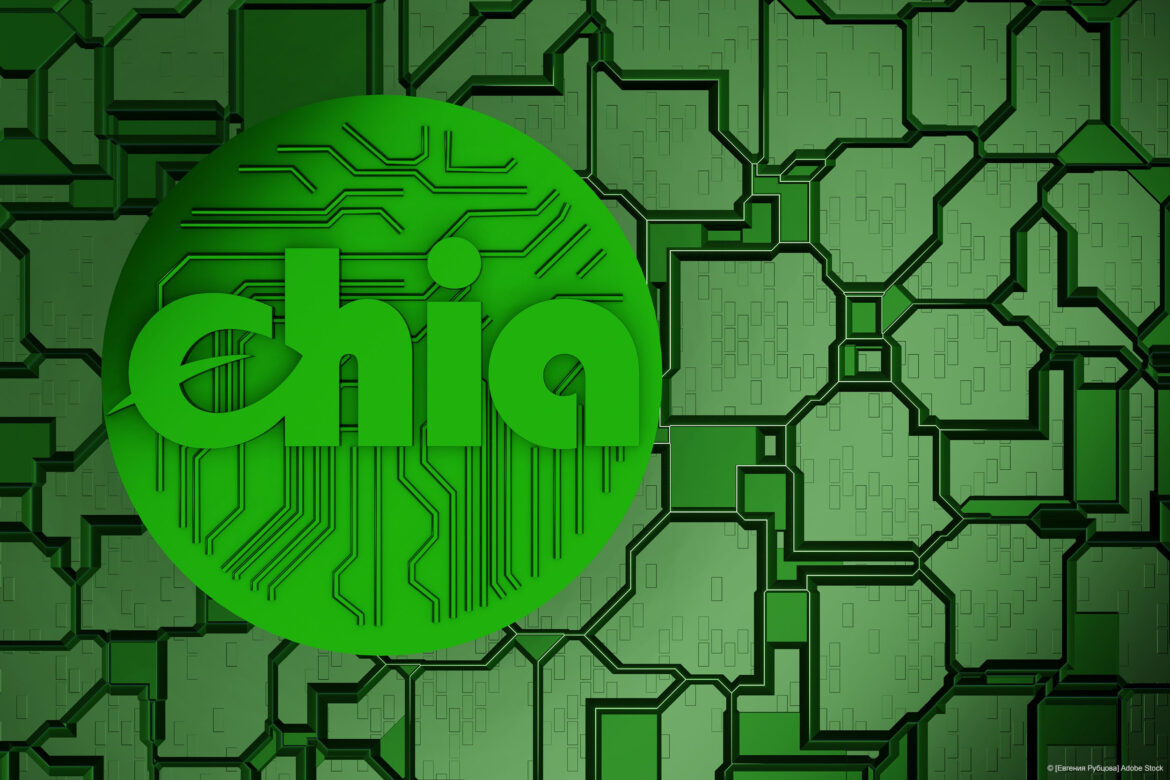 Chia Coin, la prima criptovaluta green alternativa ai Bitcoin Chia Coin